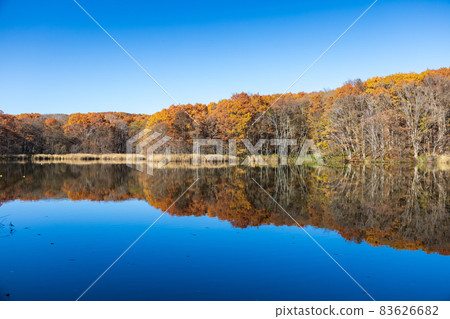 Autumn of Marunuma in Onuma Quasi-National Park near Hakodate 83626682