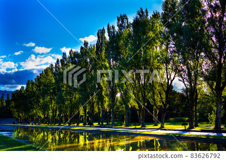 Promenade Trees lined with bright sky, reflective pond 83626792