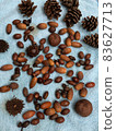 Picked up pine cones and acorns 83627713