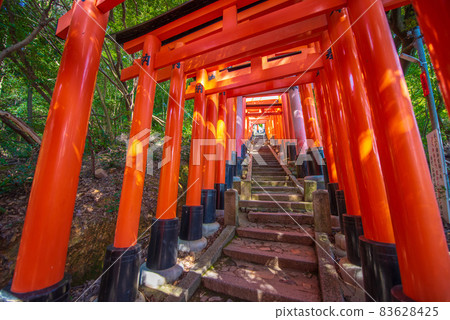 Senbon Torii of Fushimi Inari Taisha Shrine in Kyoto Senbon Torii of Fushimi Inari Taisha Shrine in Kyoto 83628425