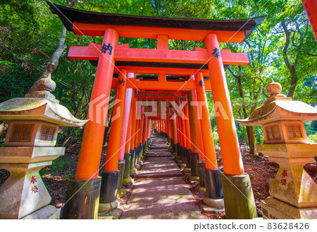 Senbon Torii of Fushimi Inari Taisha Shrine in Kyoto Senbon Torii of Fushimi Inari Taisha Shrine in Kyoto 83628426
