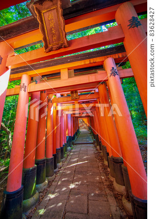Senbon Torii of Fushimi Inari Taisha Shrine in Kyoto Senbon Torii of Fushimi Inari Taisha Shrine in Kyoto 83628427