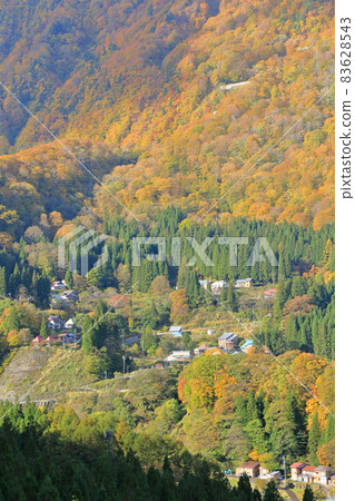 Akiyama-go Kinshu Mountain and Mansion Village 83628543