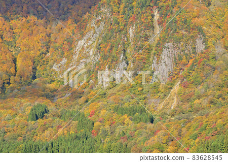 秋山鄉金州布岩遠景的秋天 秋山鄉金州布岩遠景的秋天 83628545