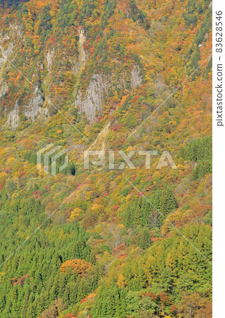 秋山鄉金州布岩遠景的秋天 秋山鄉金州布岩遠景的秋天 83628546
