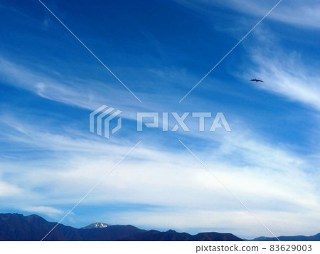 The sky and the black kite flowing in the blue sky 83629003