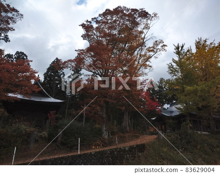 Autumn leaves and shrines 83629004