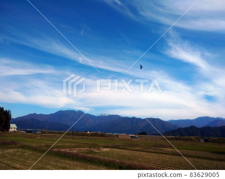 Birds flying in the blue sky in autumn 83629005
