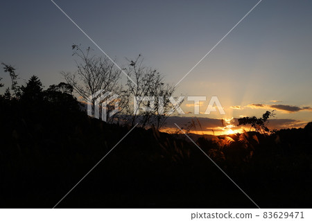 The sunset shines The sunset shines 83629471