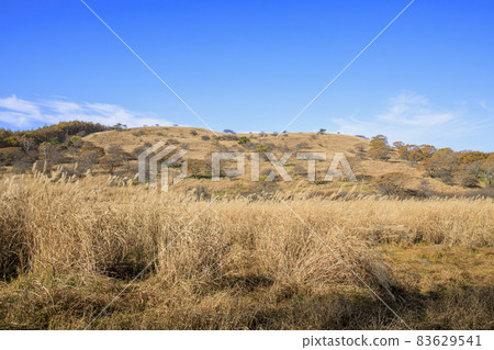 Yashimagahara Marsh Kirigamine Suwa Nagano Prefecture Yashimagahara Marsh Kirigamine Suwa Nagano Prefecture 83629541