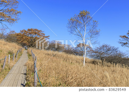 Yashimagahara Marsh Kirigamine Suwa Nagano Prefecture Yashimagahara Marsh Kirigamine Suwa Nagano Prefecture 83629549