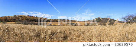 Yashimagahara Marsh Kirigamine Suwa Nagano Prefecture Yashimagahara Marsh Kirigamine Suwa Nagano Prefecture 83629579