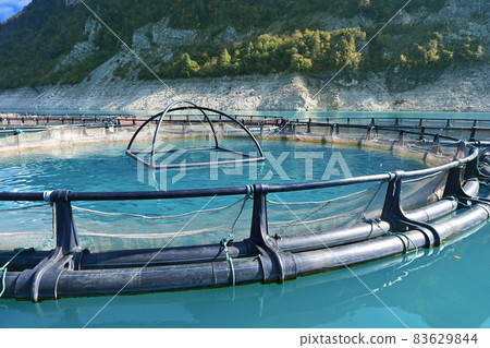 Fish farm floating cages 83629844