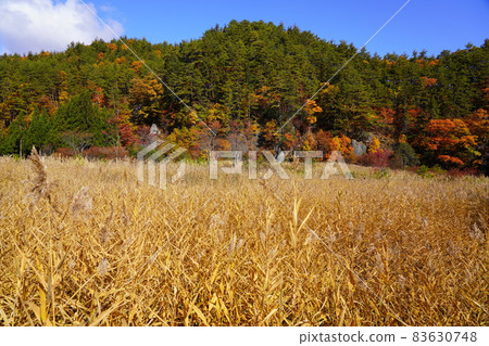 岐阜縣高山市上倉町石佛秋葉與奇石 83630748