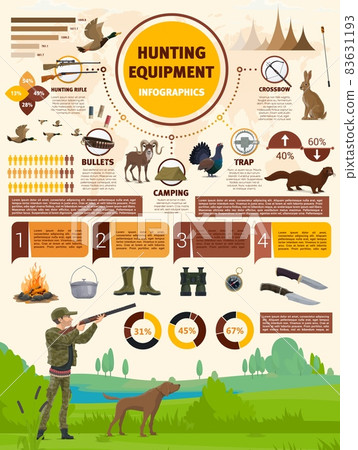 Hunting equipment infographics. Rifles, traps, bandolier and crossbow, vector hunter ammo info. Hunt ammunition diagrams and information charts or graphs on hunting rifle and bullets for animals 83631193
