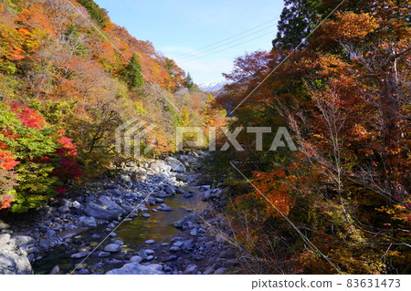 Autumn leaves of the Gamada River seen from Nakao Bridge in Okuhida Onsenkyo 83631473