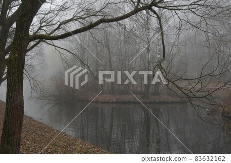 Autumn landscape with fog Autumn landscape with fog 83632162