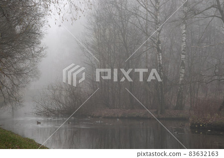 Autumn landscape with fog Autumn landscape with fog 83632163