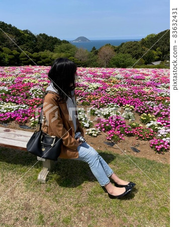 福岡縣能古島活石雛菊和後面的女人 福岡縣能古島活石雛菊和後面的女人 83632431