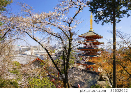[東京]日野市Takahata Fudoson的五層塔樓和櫻花 83632622