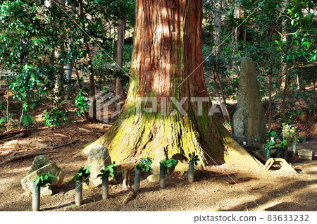 Maki (Mother of Akechi Mitsuhide) Cemetery: Gifu Maki (Mother of Akechi Mitsuhide) Cemetery: Gifu 83633232