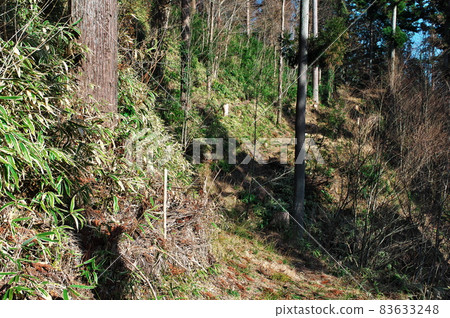 明知城跡(Shirataka Castle Ruins) 戰士奔跑:岐阜 明知城跡(Shirataka Castle Ruins) 戰士奔跑:岐阜 83633248