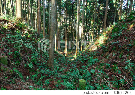 Ridge-shaped hard moat group (ridge-shaped empty moat group) of Akechi castle ruins (Shirataka castle ruins): Gifu Ridge-shaped hard moat group (ridge-shaped empty moat group) of Akechi castle ruins (Shirataka castle ruins): Gifu 83633265