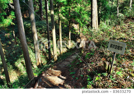 明智城遺址（白高城遺址）的脊狀硬護城河群（脊狀空護城河群）：岐阜 83633270