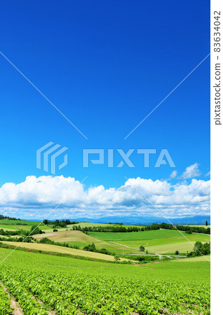 Hokkaido summer blue sky and Biei landscape 83634042