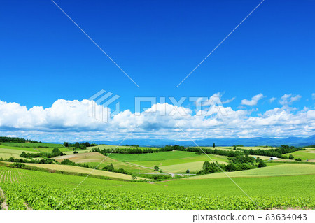 Hokkaido summer blue sky and Biei landscape 83634043