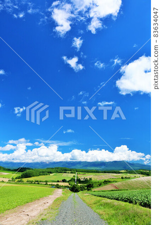 北海道夏天藍天和Biei風景 83634047