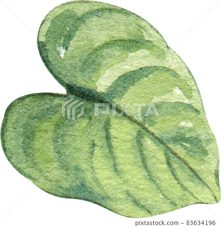 Green leaf watercolor clipart Green leaf watercolor clipart 83634196