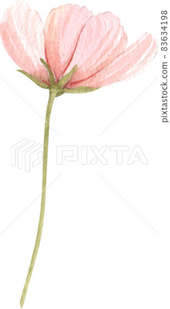 Floral flower watercolor clipart 83634198