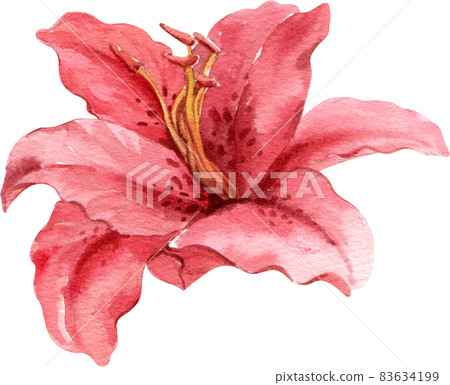 Floral flower watercolor clipart 83634199