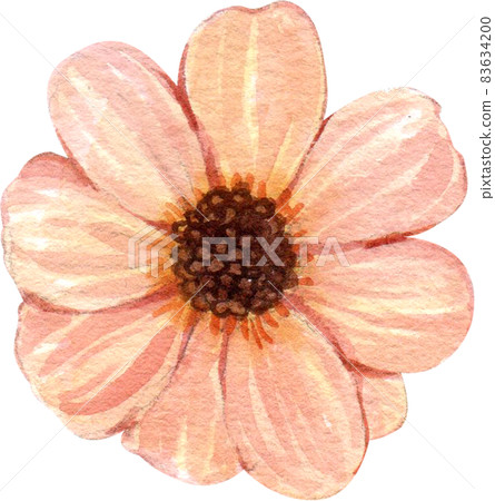Floral flower watercolor clipart 83634200