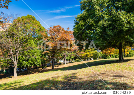 Autumn leaves in a residential area 83634289