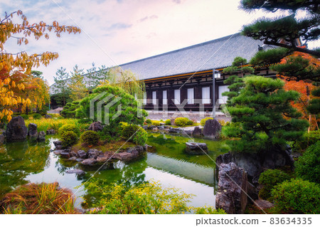 秋天的京都、蓮金院三十三間堂的正殿和池泉漫步花園 83634335