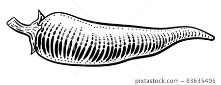 Pepper Vegetable Vintage Woodcut Illustration 83635405