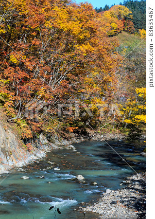 北海道三笠市、桂澤神威湖丹和生春別川的秋色[10月] 83635467