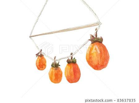 Autumn tradition, hanging persimmons in the sunlight Dried persimmons [Watercolor painting] White background Copy space available 83637835
