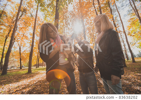 Mother and grandmother and daughter holds jack russell terrier and plays with it in autumn outside. Pet and family concept 83638202