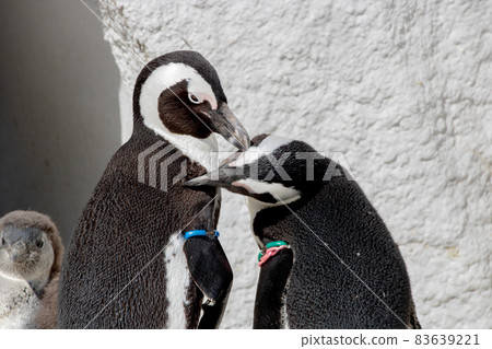 Landscape with green 83639221