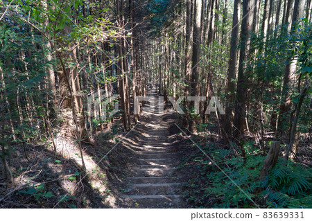 從岩脅山到基米山口的山間小道（鑽石小道） 83639331