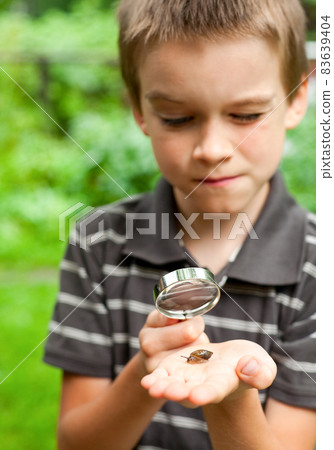 Kid observing snail 83639404
