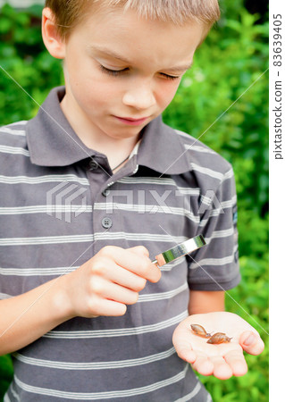 Kid observing snails Kid observing snails 83639405