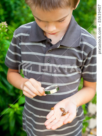 Kid observing snails 83639407