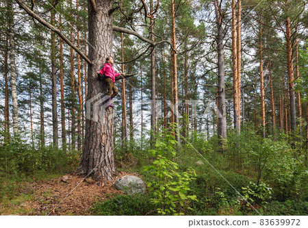 Child climbs tree in summer forest Child climbs tree in summer forest 83639972