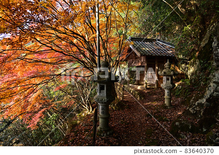 石黑寺的秋葉 83640370