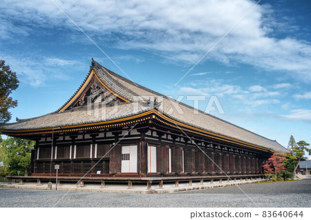 秋天的京都，蓮金院三十三間堂的正殿和院落 83640644