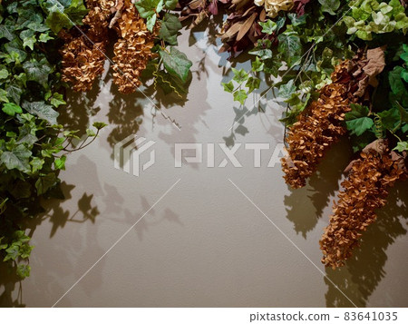 植物圖像複製空間 植物圖像複製空間 83641035